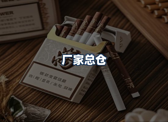专业团队办公环境